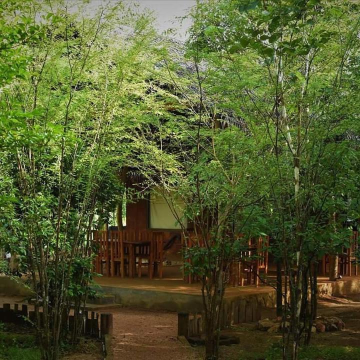 Sky Forest Habarana Buitenkant foto