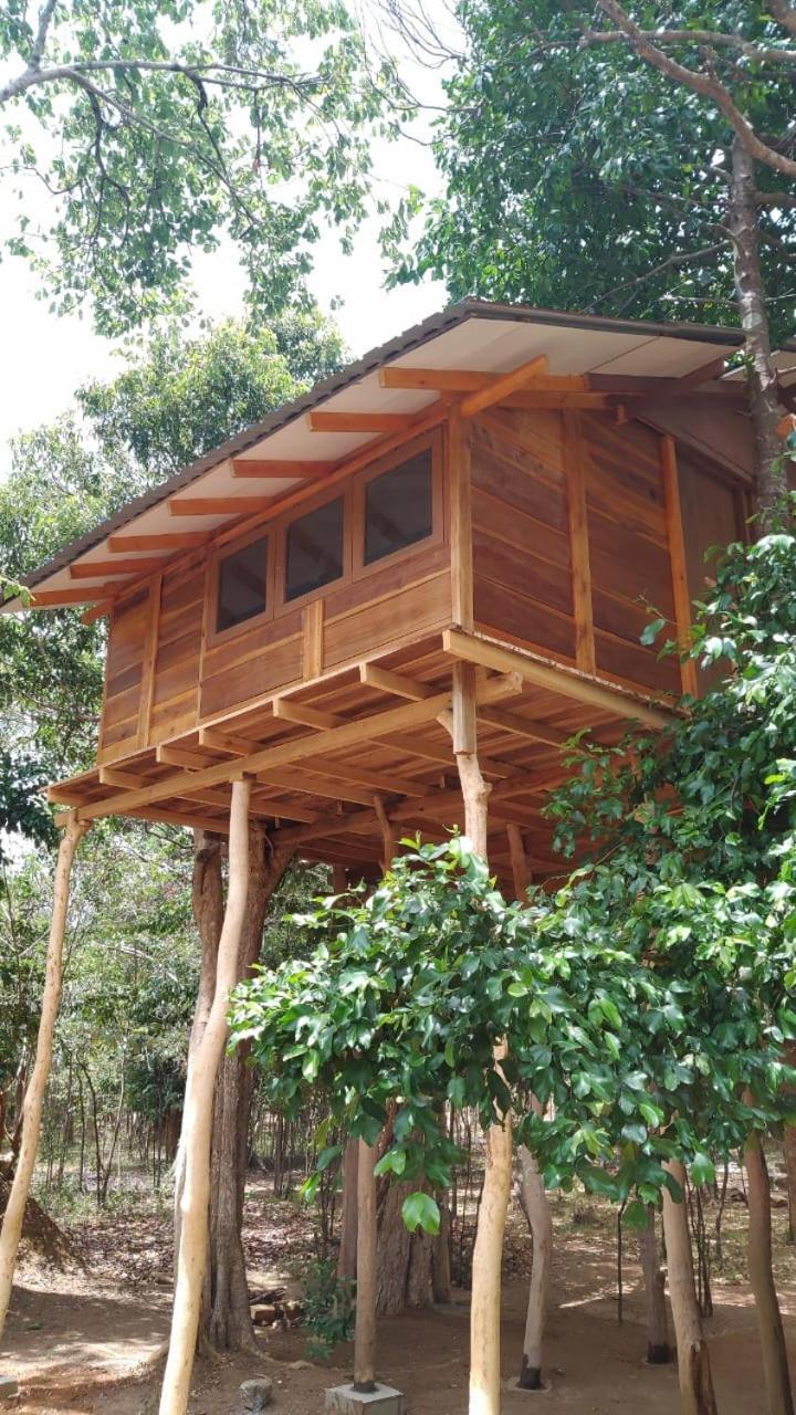 Sky Forest Habarana Buitenkant foto